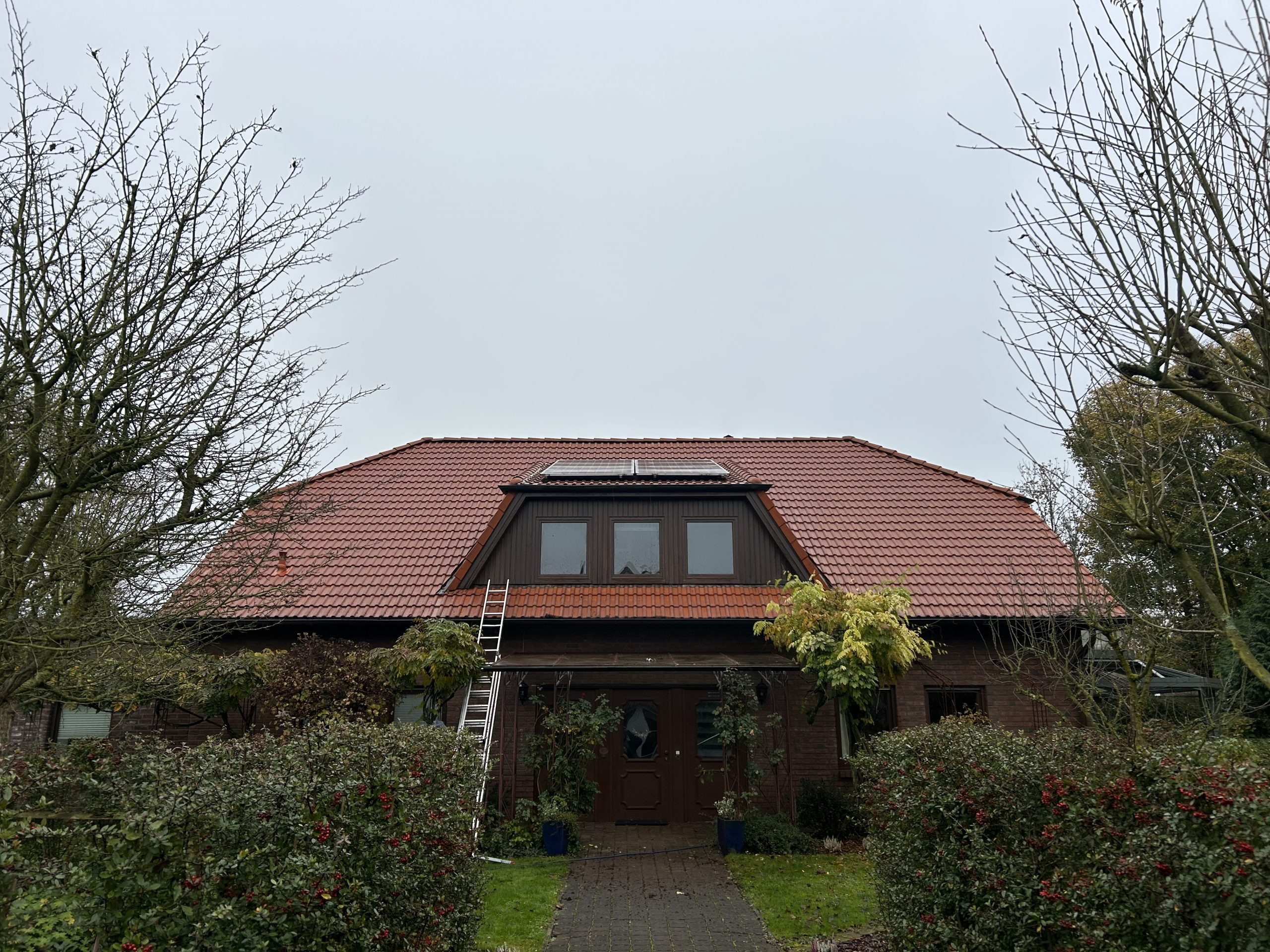 08.11.24-4-ELang-5290144